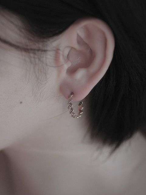月桂樹のピアス