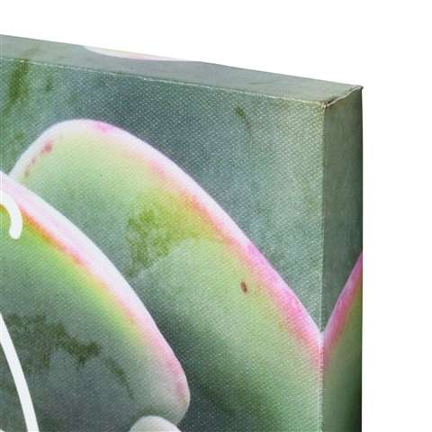 キャンバスアート グリーン&レターD　Francfranc（フランフラン）公式サイト｜家具、インテリア雑貨、通販