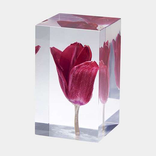 TULIP レッド: リビング|MoMA STORE (モマストア）