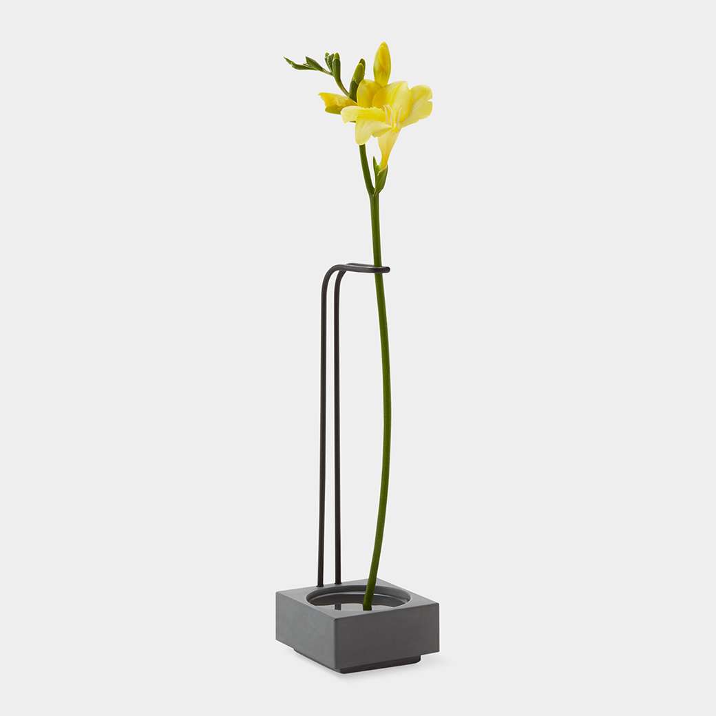 MoMA ブロッサム ウェル ベース セメント／ブラック: リビング|MoMA STORE (モマストア）