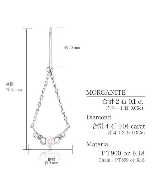 ララクリスティー ピアス レディース モルガナイト 0.1ct ダイヤモンド フック ピアス PT900 K18 ゴールド プラチナム コレクション le102(505057103) | ララクリスティー(LARA Christie) - MAGASEEK