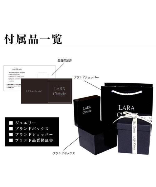 ララクリスティー ピアス レディース モルガナイト 0.1ct ダイヤモンド フック ピアス PT900 K18 ゴールド プラチナム コレクション le102(505057103) | ララクリスティー(LARA Christie) - MAGASEEK