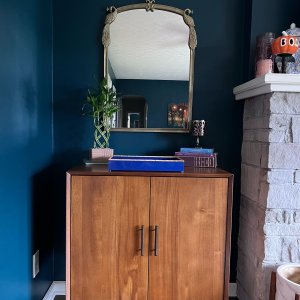 Mid-Century Cabinet (28