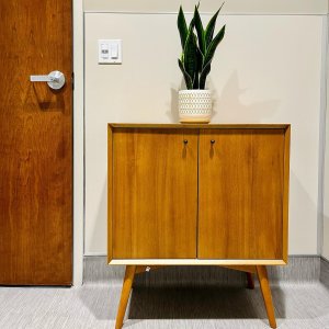 Mid-Century Cabinet (28
