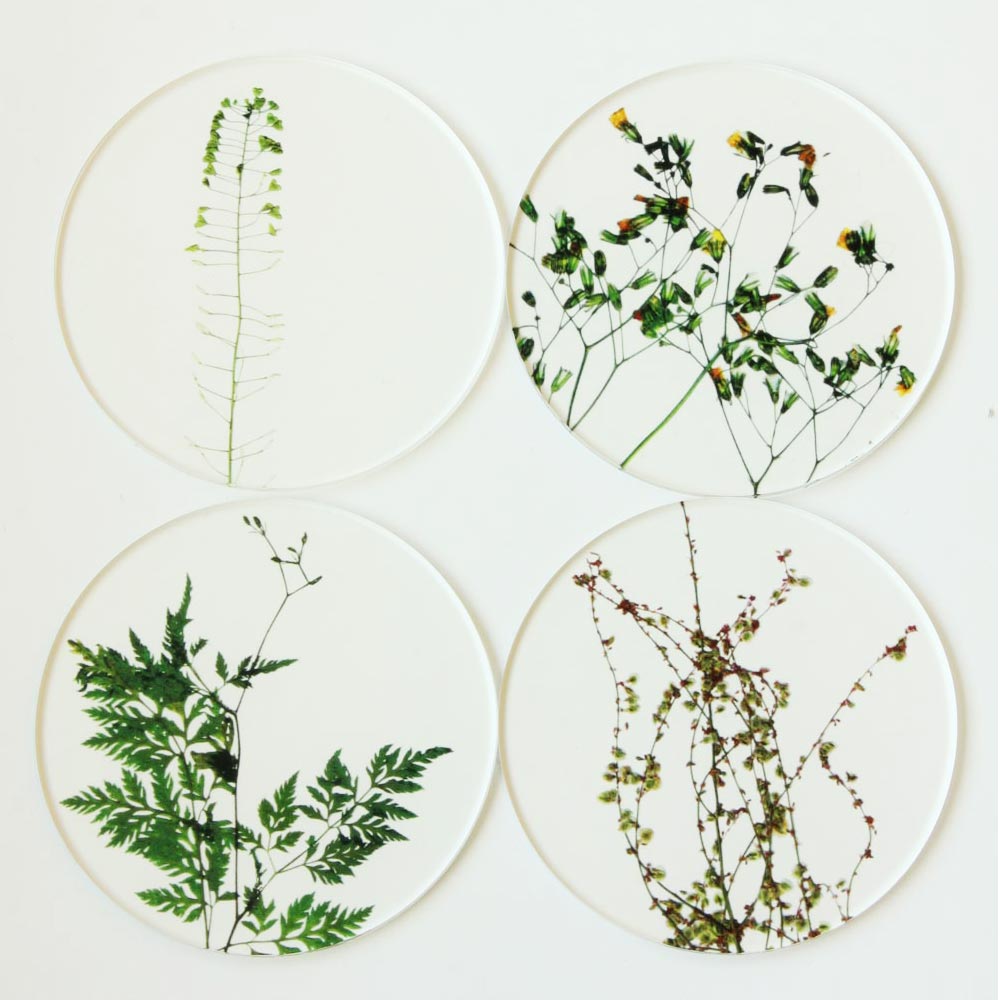 押し花コースター / oshibana coaster（tomei / トウメイ） ｜ 家具・雑貨・インテリアショップのセンプレ