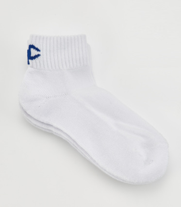 【SHEL’TTER SELECT/シェルターセレクト】【Champion】BIG LOGO SOCKS｜シェルター公式通販サイト｜SHEL'TTER WEB STORE