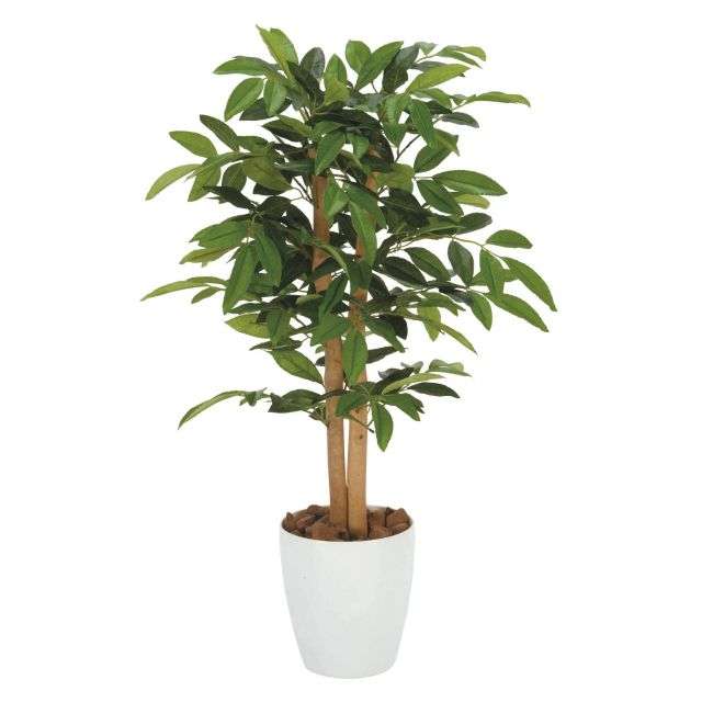 フェイクグリーン　アルデシア＜高さ約９０ｃｍ＞｜通販のベルメゾンネット