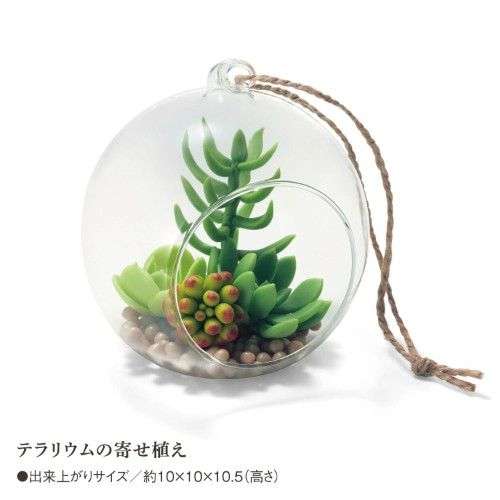 ゆげ・樹脂粘土で作る多肉植物手作りキット｜通販のベルメゾンネット
