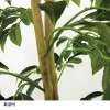 フェイクグリーン　アルデシア＜高さ約９０ｃｍ＞｜通販のベルメゾンネット
