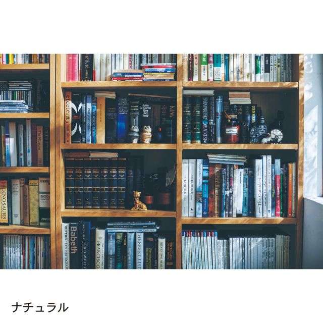 【４月１０日まで大型商品送料無料】収納量にこだわった頑丈本棚［日本製］(BELLE MAISON DAYS)｜通販のベルメゾンネット