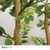 フェイクグリーン　ゴールデンリーフ＜高さ約１２５ｃｍ＞｜通販のベルメゾンネット