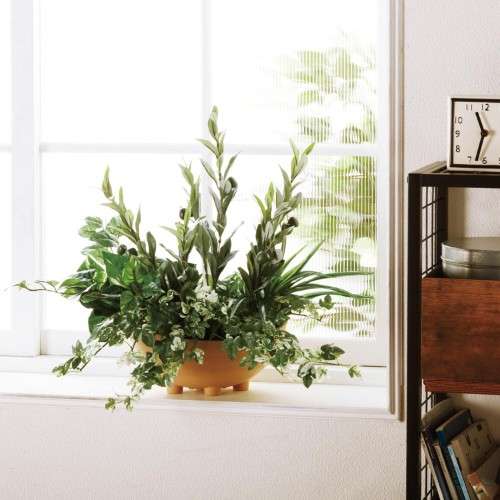 フェイクグリーン　寄せ植えオリーブ＜高さ約４８ｃｍ＞｜通販のベルメゾンネット