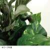 フェイクグリーン　寄せ植えオリーブ＜高さ約４８ｃｍ＞｜通販のベルメゾンネット