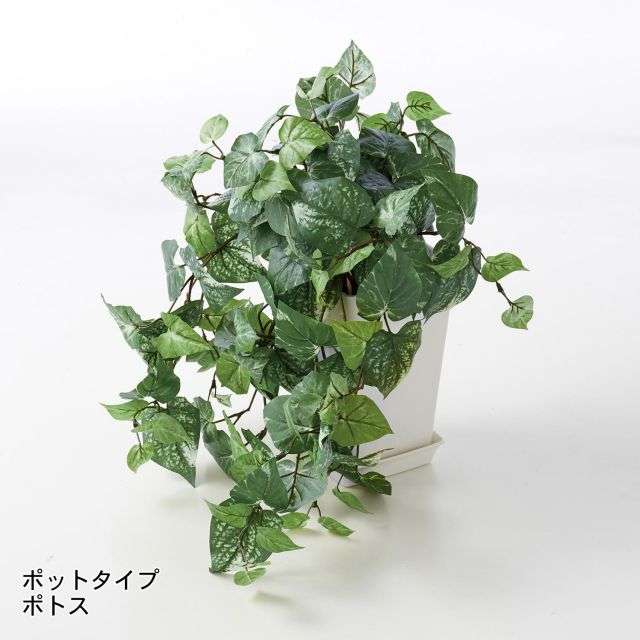 ベランダにも置けるフェイクグリーン｜通販のベルメゾンネット