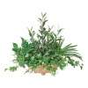 フェイクグリーン　寄せ植えオリーブ＜高さ約４８ｃｍ＞｜通販のベルメゾンネット