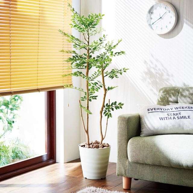 フェイクグリーン　ゴールデンリーフ＜高さ約１２５ｃｍ＞｜通販のベルメゾンネット