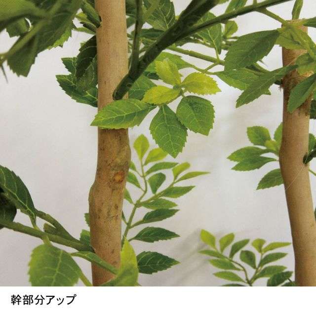 フェイクグリーン　ゴールデンリーフ＜高さ約１２５ｃｍ＞｜通販のベルメゾンネット