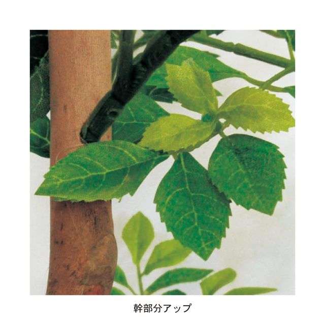 フェイクグリーン　ゴールデンリーフ＜高さ約１２５ｃｍ＞｜通販のベルメゾンネット