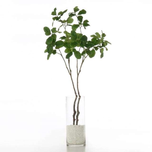 フェイクグリーン”マグノリアリーフ”＜高さ約９０ｃｍ＞(グリーンパーク／GREENPARK)｜通販のベルメゾンネット
