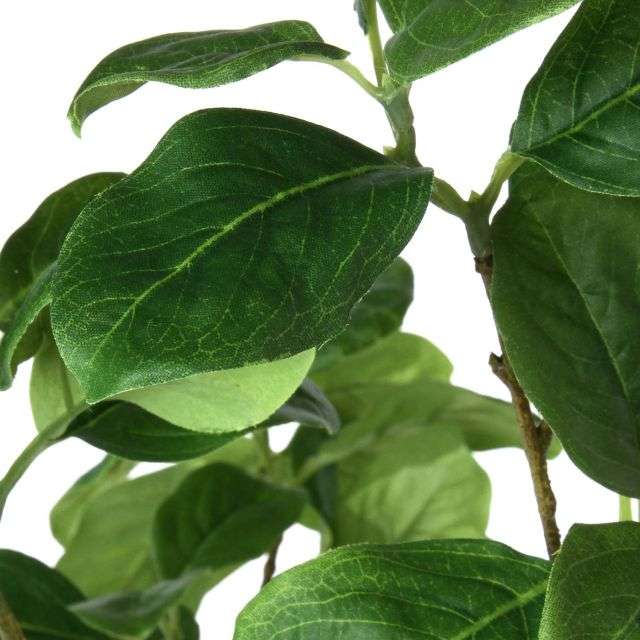 フェイクグリーン”マグノリアリーフ”＜高さ約９０ｃｍ＞(グリーンパーク／GREENPARK)｜通販のベルメゾンネット