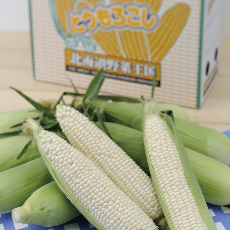 【予約商品】 北海道産　ホワイトショコラコーン｜通販のベルメゾンネット