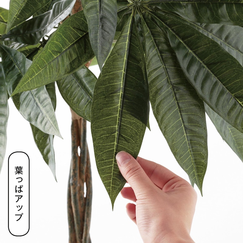 消臭フェイクグリーン「パキラ」 ＜高さ約１２５ｃｍ＞｜通販のベルメゾンネット