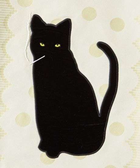 【2015京袋帯】ＢＡＴ　ＣＡＴ