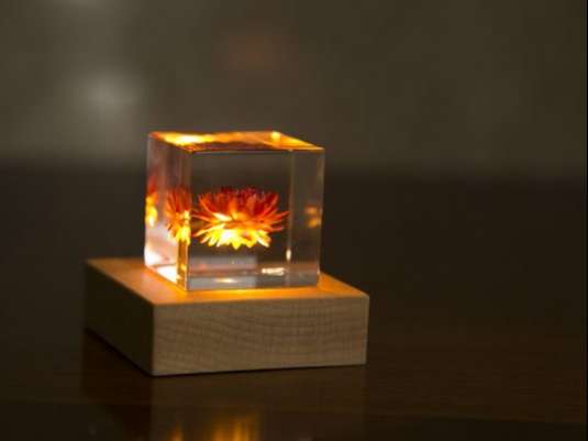 Light Base 丸 ウォールナット 5000K - スタイルストア