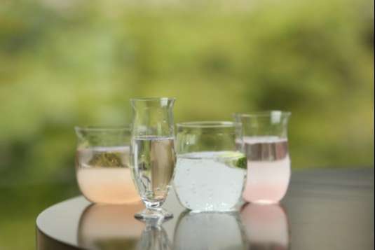 Palmhouse glass fleur - スタイルストア