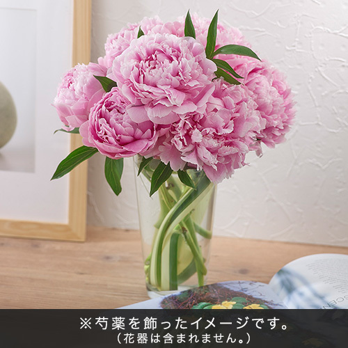 おうちで楽しむ季節の花「芍薬（淡いピンク系）」7本｜日比谷花壇｜フラワーギフト通販