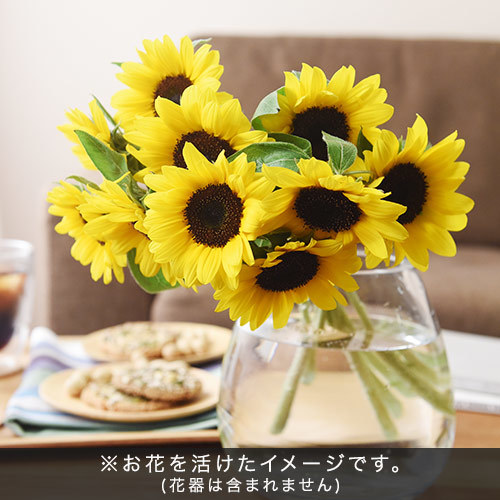 父の日 花紀行房総「ヒマワリ10本セット」｜日比谷花壇｜フラワーギフト通販