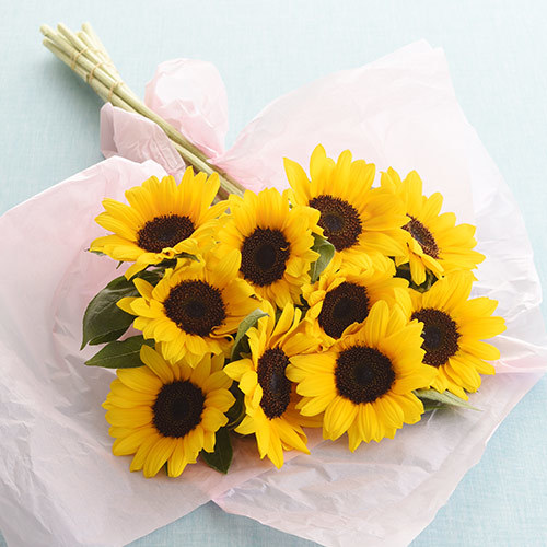 父の日 花紀行房総「ヒマワリ10本セット」｜日比谷花壇｜フラワーギフト通販