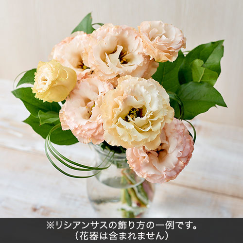 6月旬の花材「リシアンサス　オレンジ系」｜日比谷花壇｜フラワーギフト通販