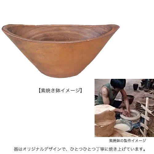 ガーデニング完成品 寄せ植えガーデン ７月｜日比谷花壇｜フラワーギフト通販