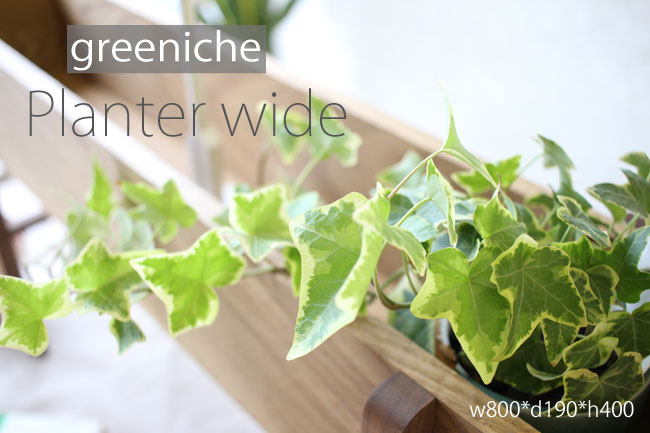 Planter wide（プランター　ワイド）/greeniche（グリニッチ）