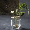 イケバナベース (Fritz Hansen / フリッツ・ハンセン) ｜【SEMPRE.JP】公式通販 家具・雑貨・インテリアショップのセンプレ
