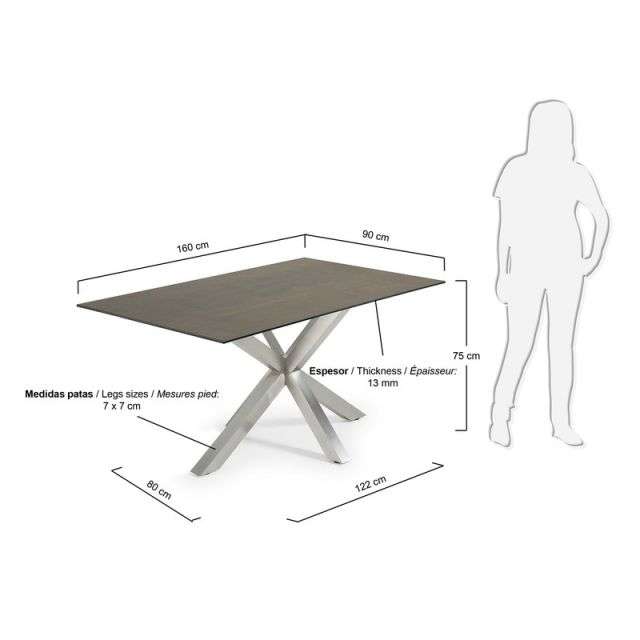 ARYA Table 160x90 St Steel Matt, Porcelain Iron Moss