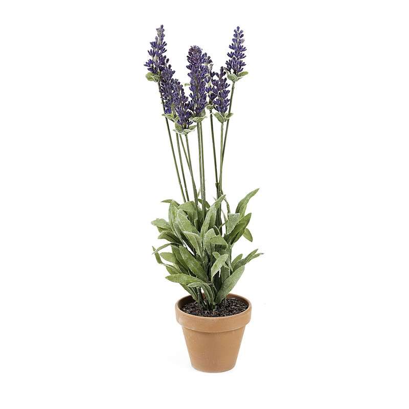 FLOWER Set 12 artificial lavanders in pot | 商品カテゴリー,デコレーション雑貨 | LaForma Japan