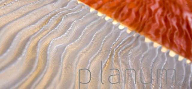 Planum シーリングライト・ブラケットライト
