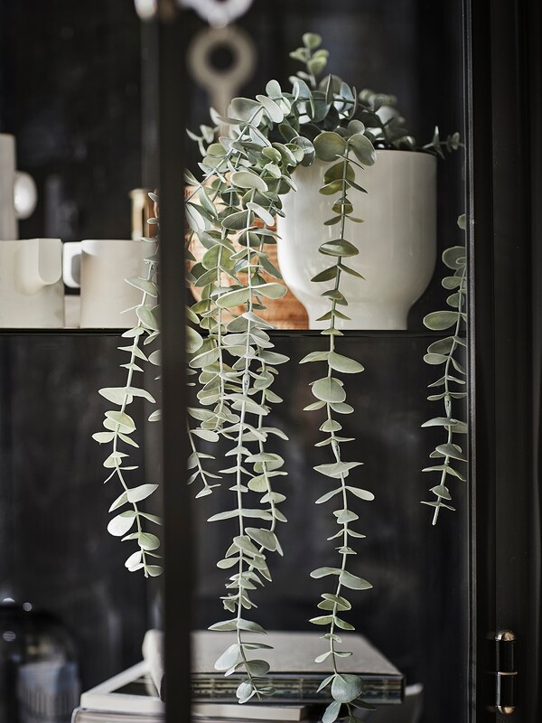 FEJKA フェイカ 人工観葉植物, 室内/屋外用 つり下げ型, ユーカリ - IKEA