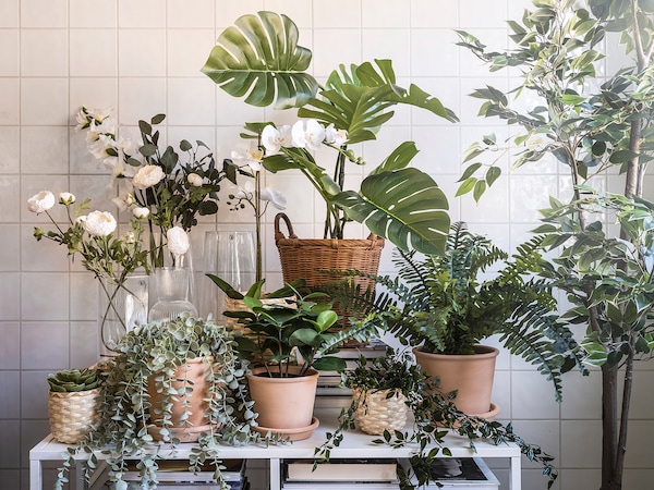 FEJKA フェイカ 人工観葉植物, 室内/屋外用 つり下げ型, ユーカリ - IKEA
