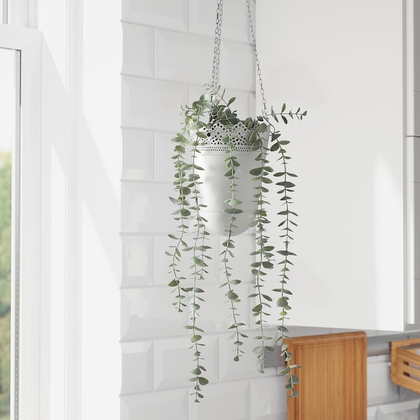 FEJKA フェイカ 人工観葉植物, 室内/屋外用 つり下げ型, ユーカリ - IKEA