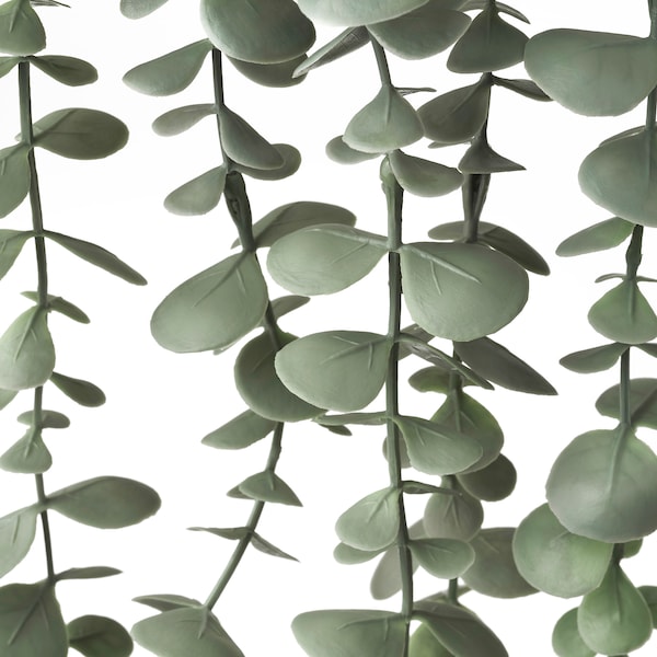 FEJKA フェイカ 人工観葉植物, 室内/屋外用 つり下げ型, ユーカリ - IKEA